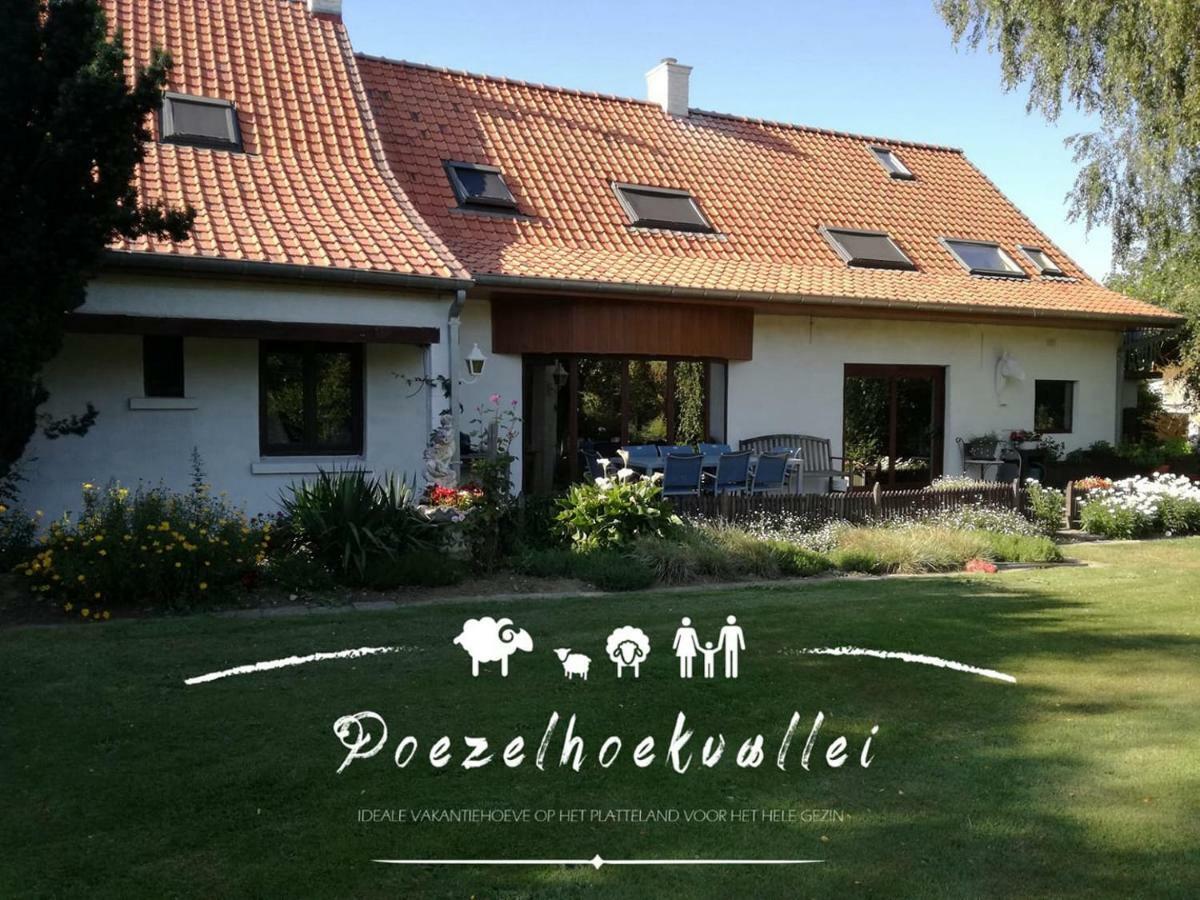 Poezelhoekvallei Appartement زونيبيكه المظهر الخارجي الصورة